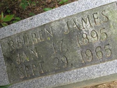 Reuben James on Sysoon