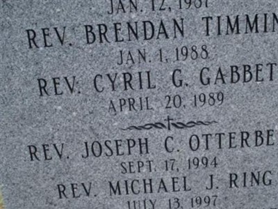 Rev Brendan Timmins on Sysoon