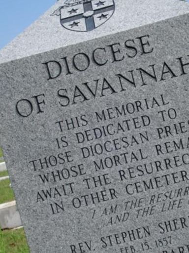 Rev Brendan Timmins on Sysoon