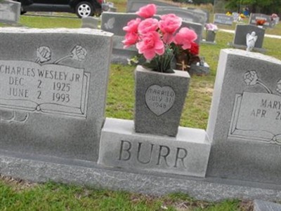 Rev Charles Wesley Burr, Jr on Sysoon