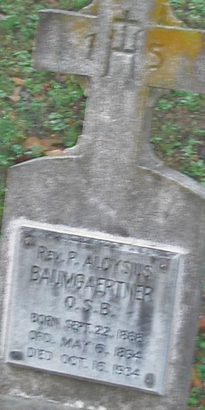 Rev P Aloysius Baumgaertner on Sysoon