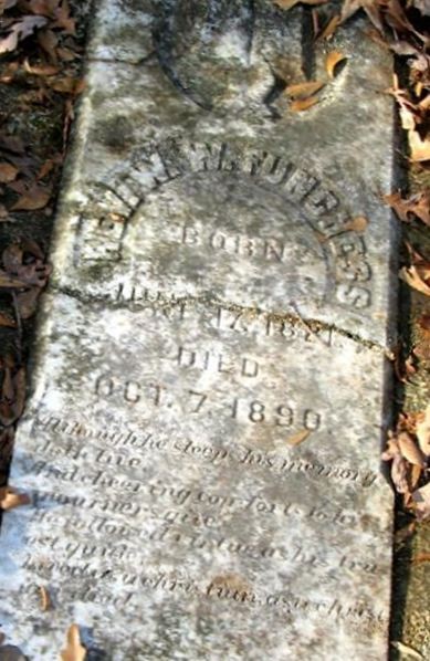 Rev W. W. Funchess on Sysoon
