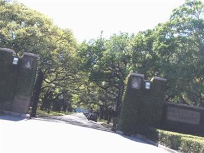 Rice University Campus Grounds on Sysoon