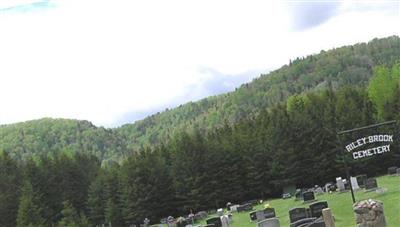 Riley Brook Cemetery on Sysoon