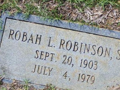 Robah L Robinson, Jr on Sysoon