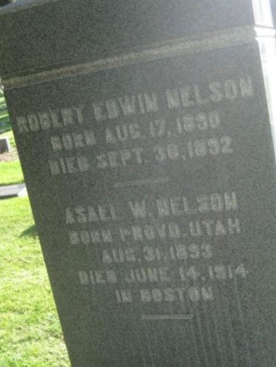 Robert Edwin Nelson on Sysoon