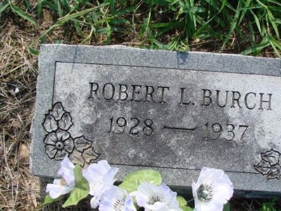 Robert L Burch on Sysoon