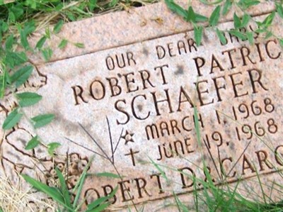 Robert Patrick Schaefer on Sysoon