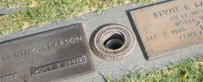 Robilee "Bobbie" Cawthon Larson on Sysoon