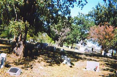 Robinson Cemetery (African American) on Sysoon