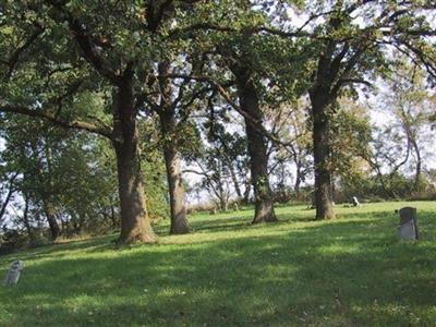 Robinson Cemetery on Sysoon