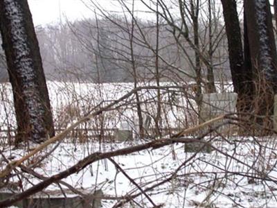 Robinson Cemetery on Sysoon