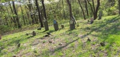 Robinson Cemetery on Sysoon