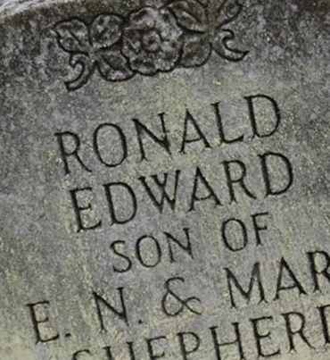 Ronald Edward Shepherd on Sysoon