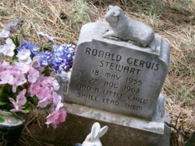 Ronald Gervis Stewart on Sysoon