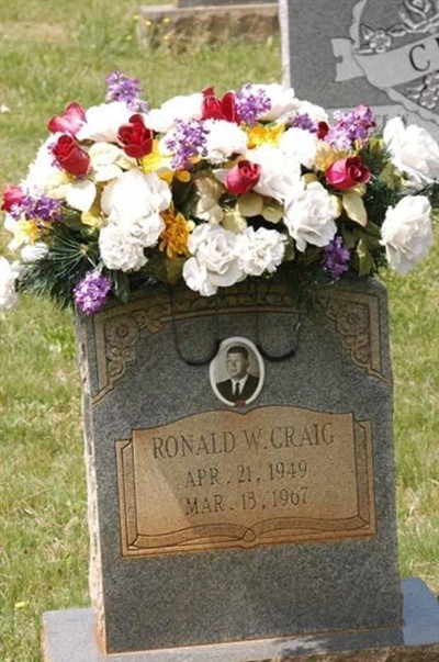 Ronald W. Craig on Sysoon