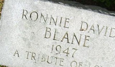 Ronnie David Blane on Sysoon