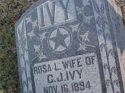 Rosa L Ivy on Sysoon