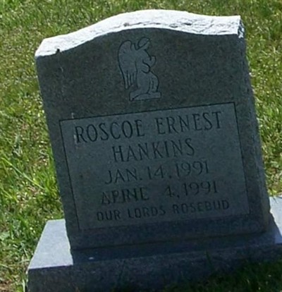 Roscoe Ernest Hankins on Sysoon