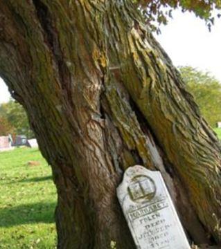 Rose Hill Cemetery on Sysoon