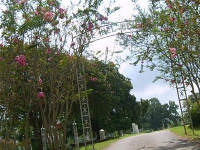 Rose Hill Cemetery on Sysoon