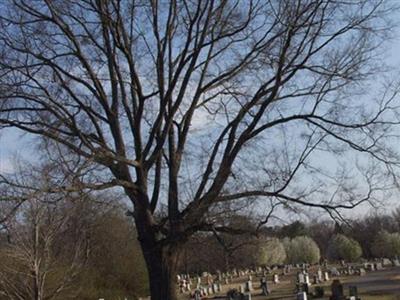 Roselawn Gardens Of Memory on Sysoon