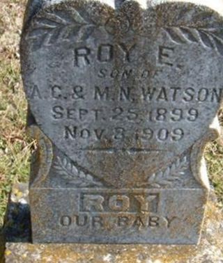 Roy E Watson on Sysoon