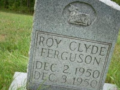 Roy Ferguson on Sysoon