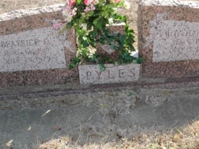 Roy Hardin Pyles on Sysoon