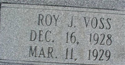 Roy J Voss on Sysoon