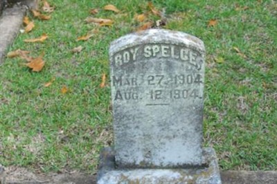 Roy Spelce on Sysoon