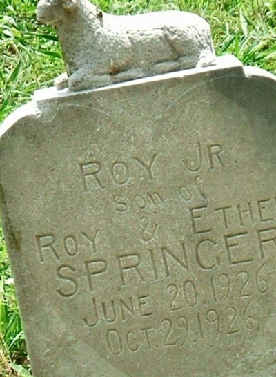 Roy Springer, Jr on Sysoon