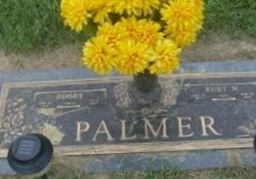 Ruby N. Palmer on Sysoon