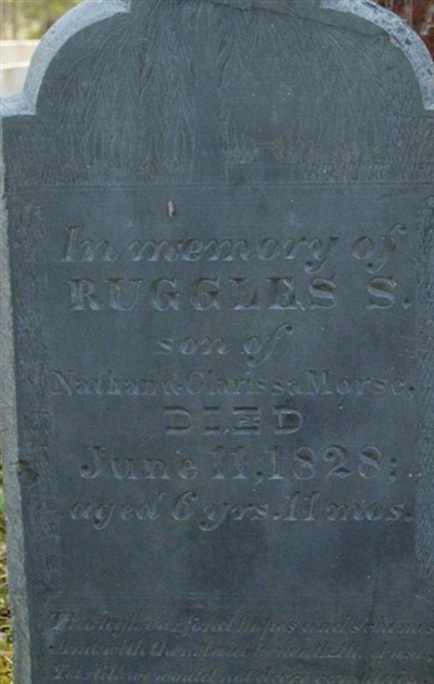 Ruggles Sylvester Morse on Sysoon