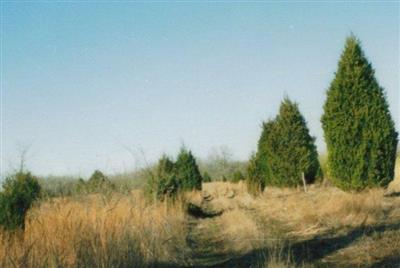 Rushing Cemetery on Sysoon