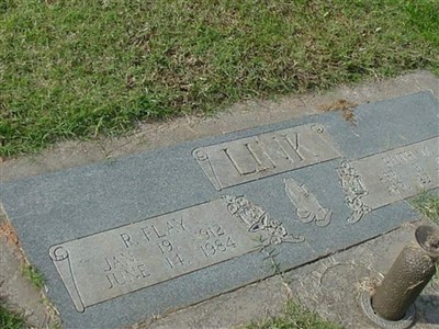 Ruth M. Link on Sysoon