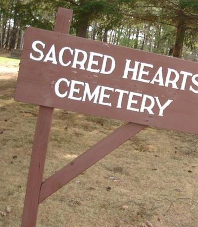 Sacred Hearts Cemetery (Scott Township) on Sysoon