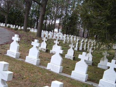 Saint Adalbert Cemetery on Sysoon