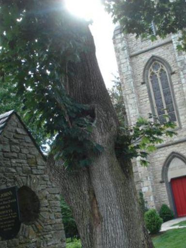Saint Johns Episcopal Churchyard on Sysoon