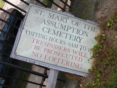 Saint Mary of the Assumption Churchyard on Sysoon