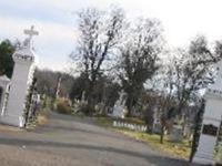 Saint Mary Cemetery on Sysoon