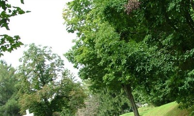 Saint Michaels Cemetery on Sysoon