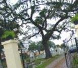 Saint Michaels Cemetery on Sysoon