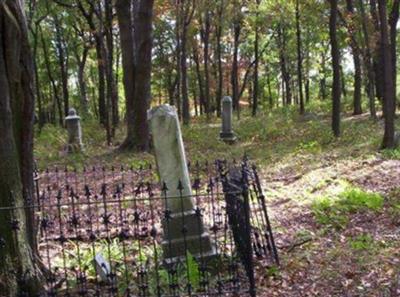 Saint Patrick's Cemetery on Sysoon