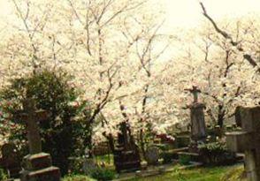 Sakamoto International Cemetery on Sysoon