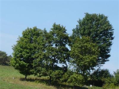 Sala-Livingston Farm Cemetery on Sysoon