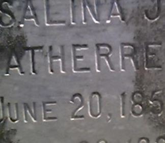 Salina Judson McDowell Fatherree on Sysoon