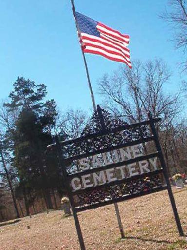 Saline Cemetery on Sysoon