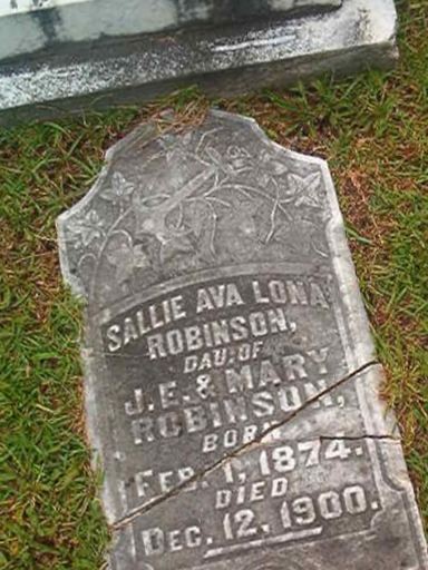 Sallie Ava Lona Robinson on Sysoon