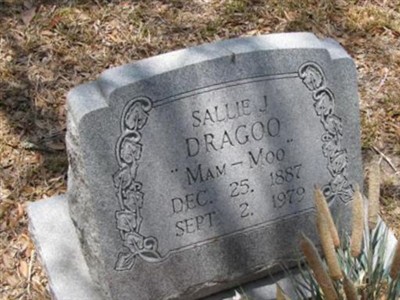 Sallie J. "MAM-MOO" Dragoo on Sysoon